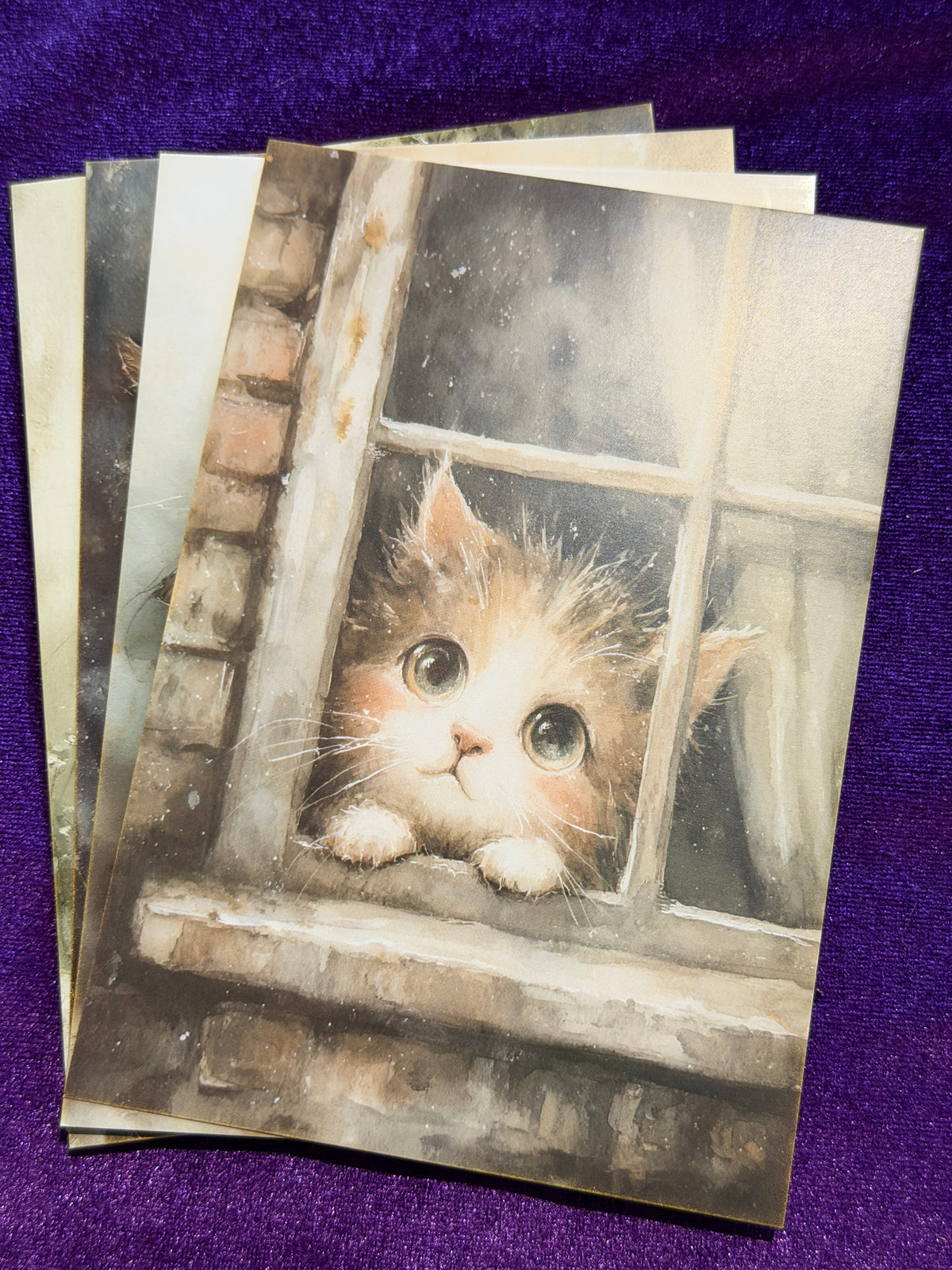 Whiskers In Watercolour Set 3