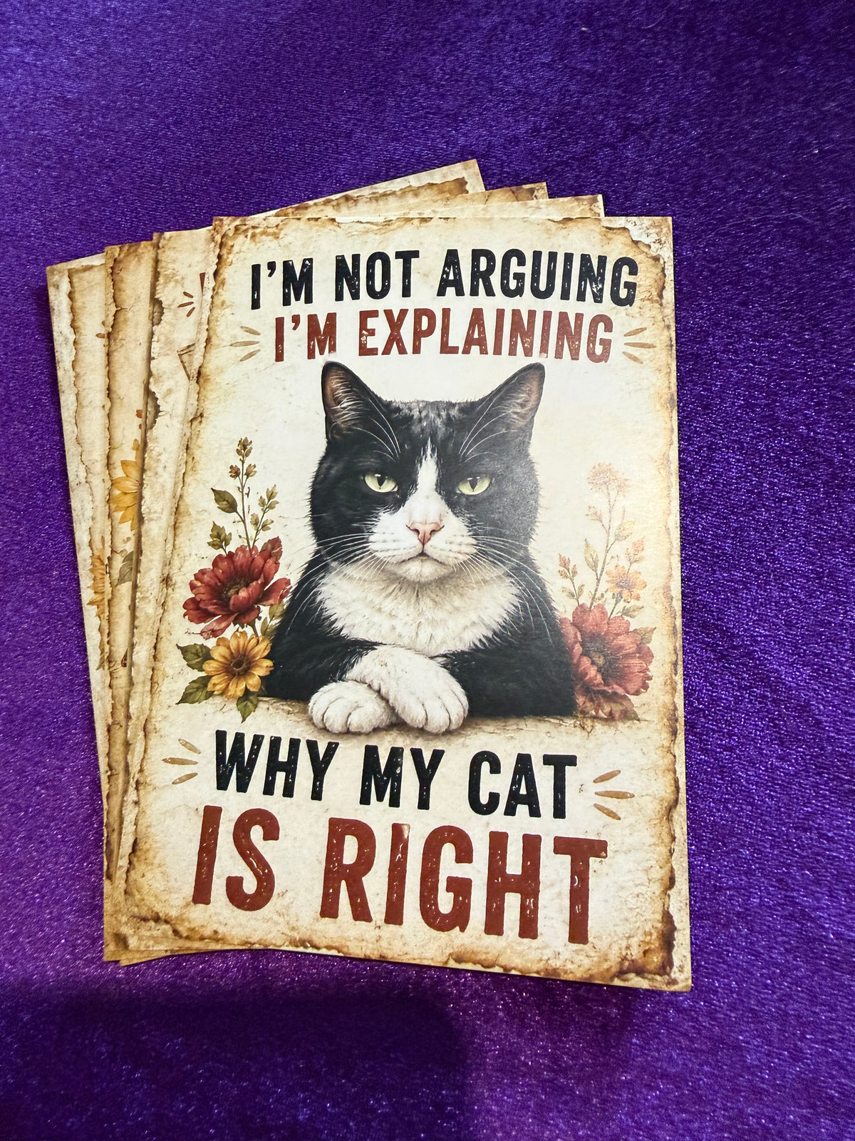 Blame The Cat Set 1