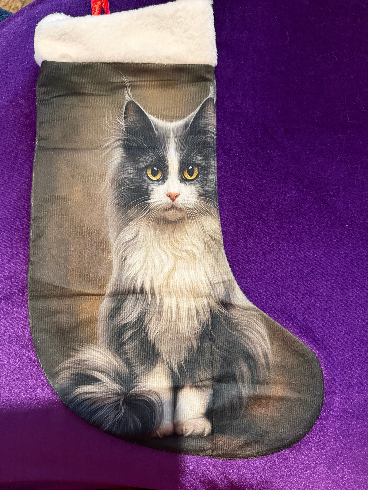 Majestic Grey & White Cat Velvet Yule Stocking