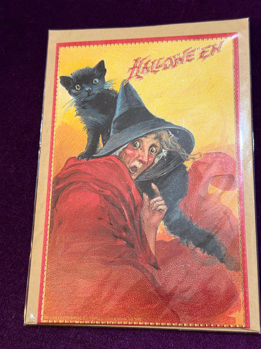 Retro Witch & Black Cat Samhain Greeting Card
