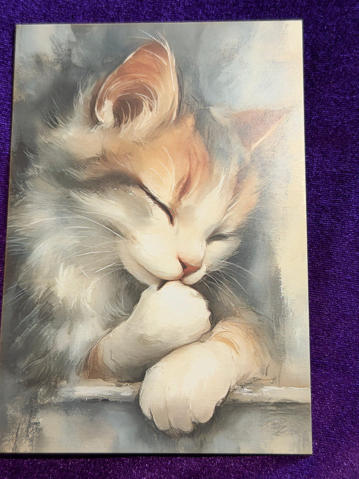 Whiskers In Watercolour Set 5