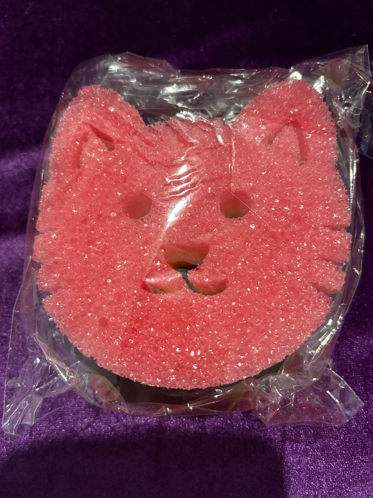 Heavy-Duty Cat Pot Scourer & Sponge