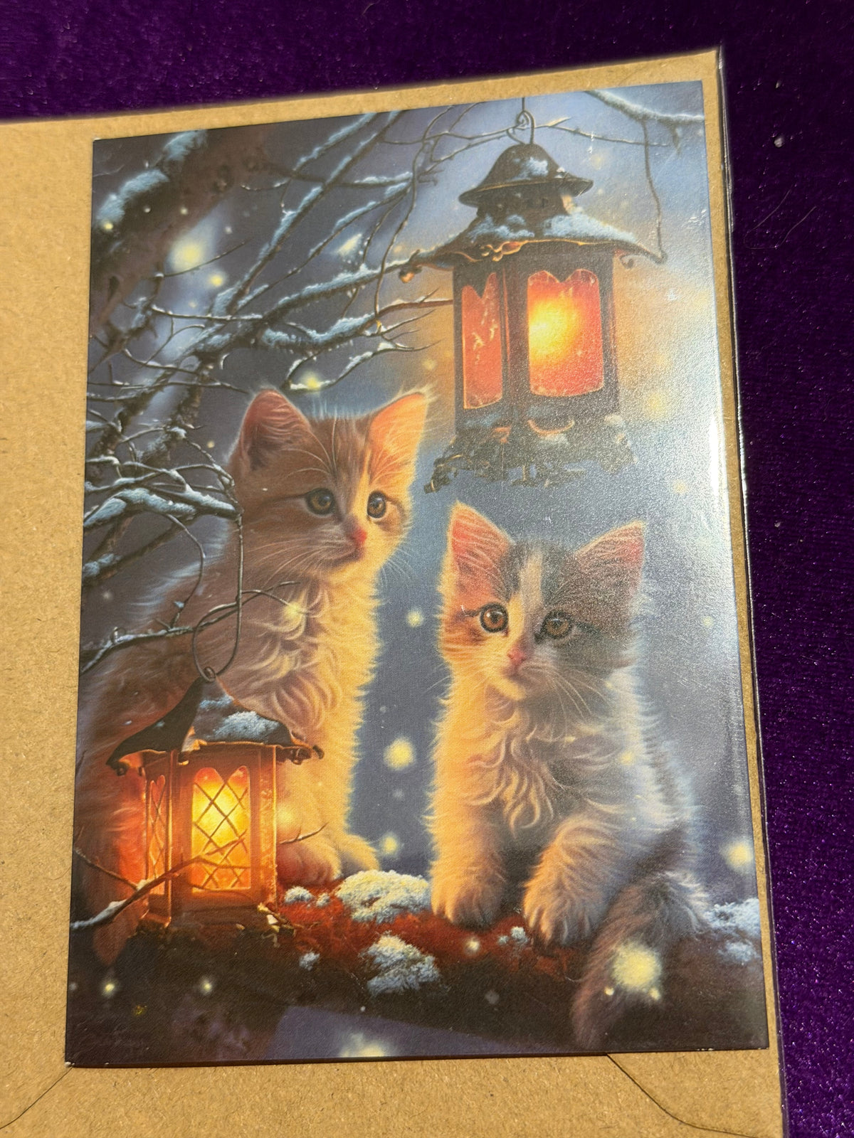 Winter Kittens 4