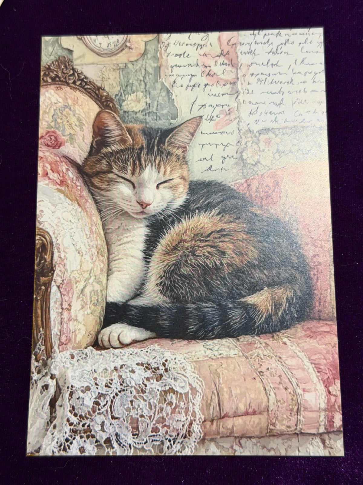 Vintage Whiskers Set 3