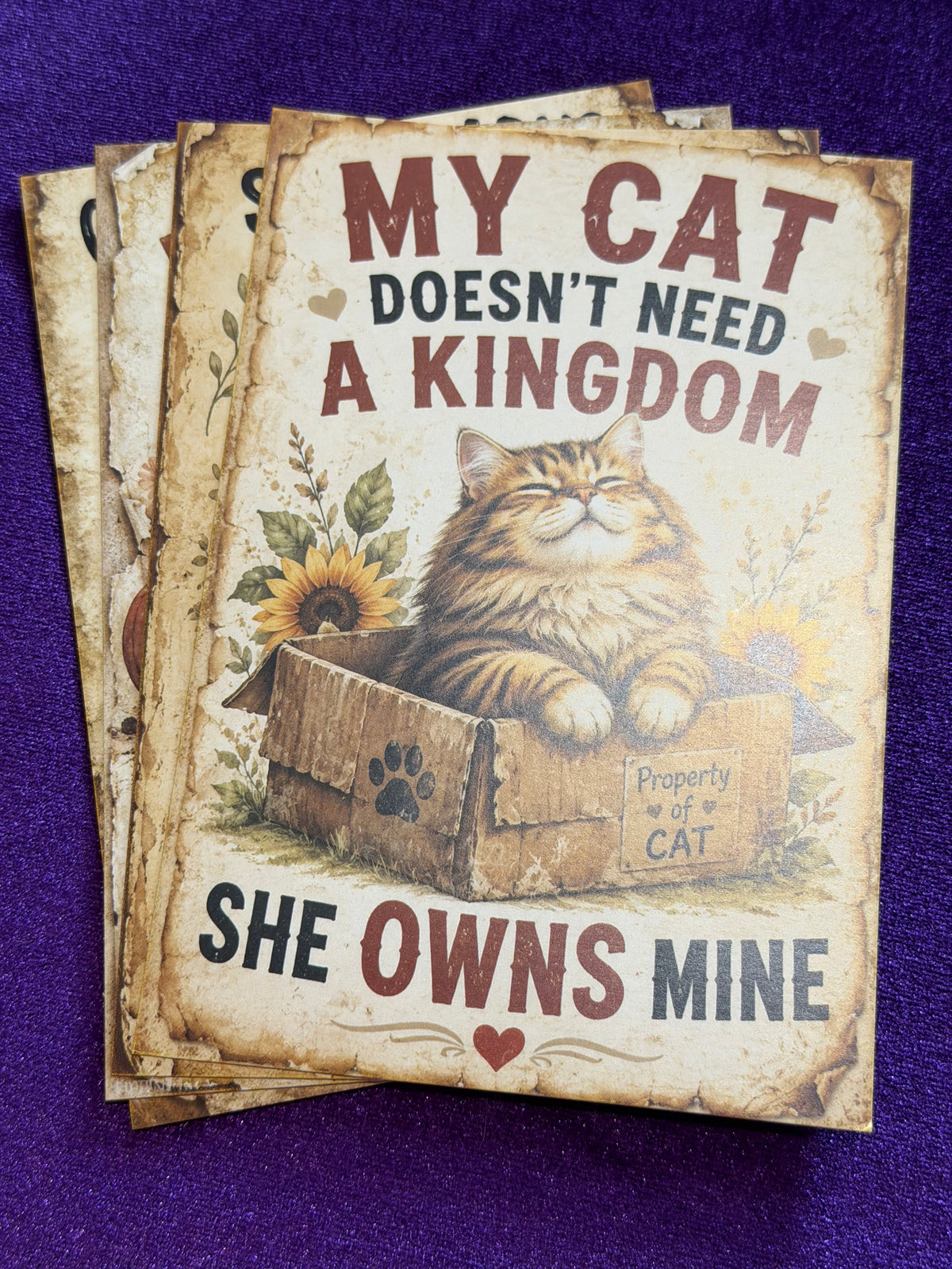 Blame The Cat Set 5