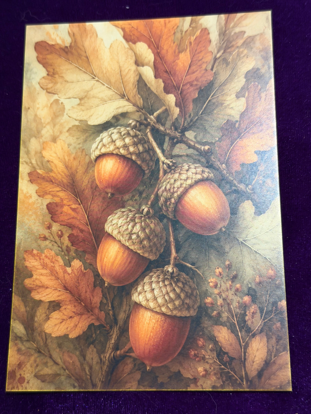 Autumn At The Enchanted Cottage Set 2