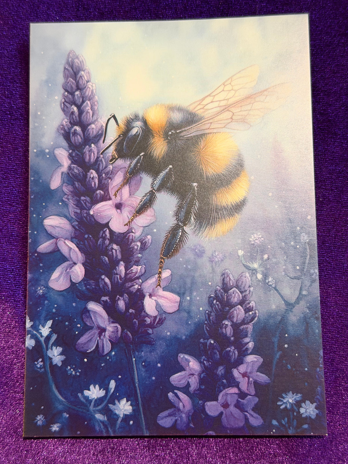 Moonlit Enchantment Mini Prints – Set 1