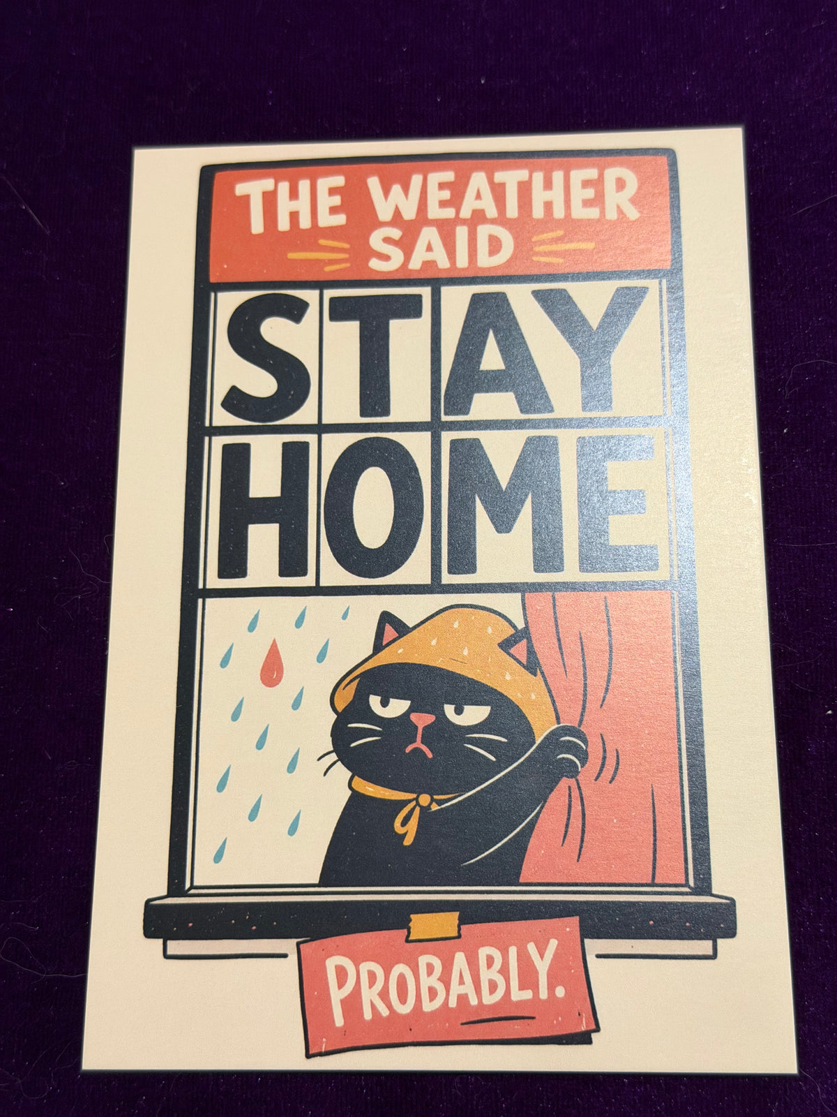 Pumpkin Is Unavailable Set 1
