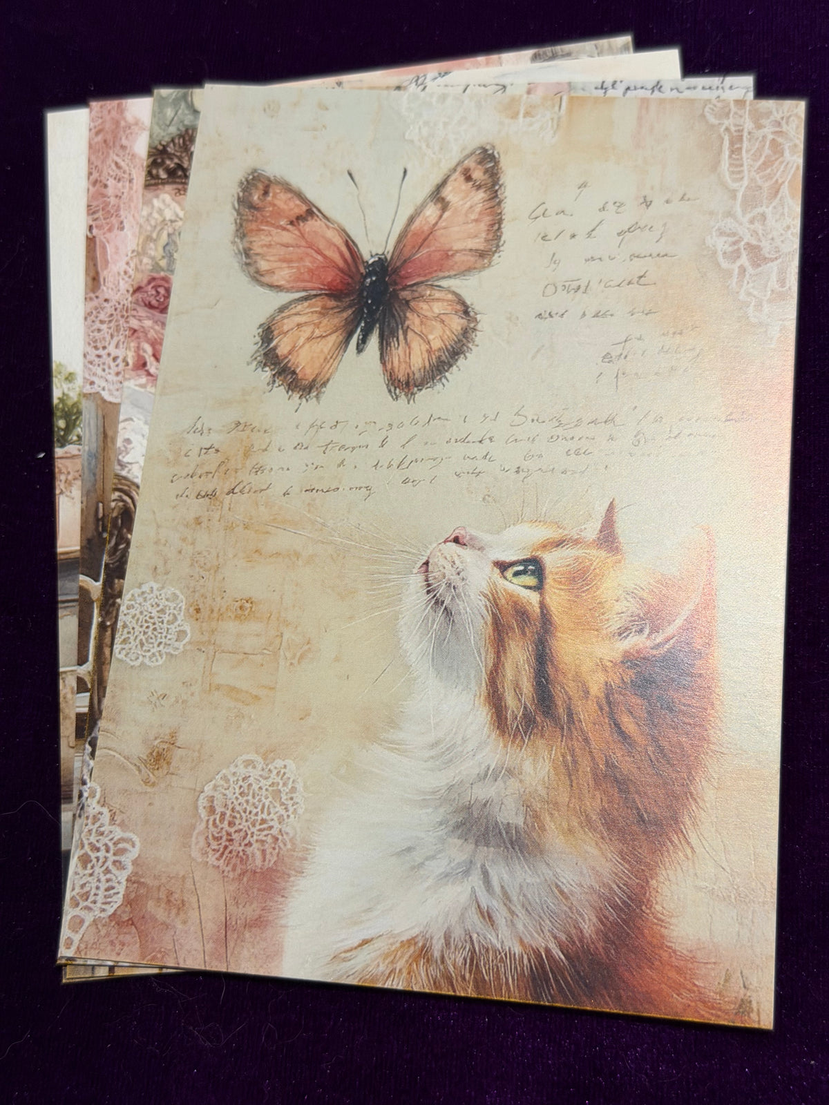 Vintage Whiskers Set 3