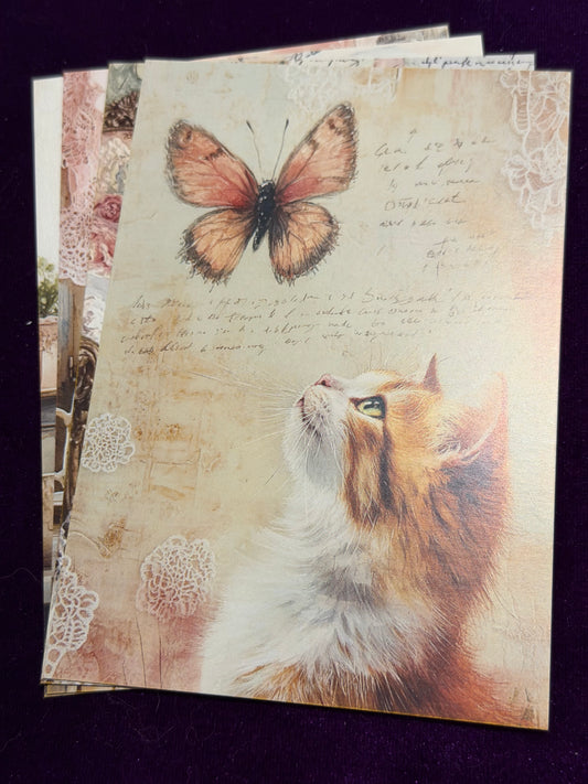 Vintage Whiskers Set 3