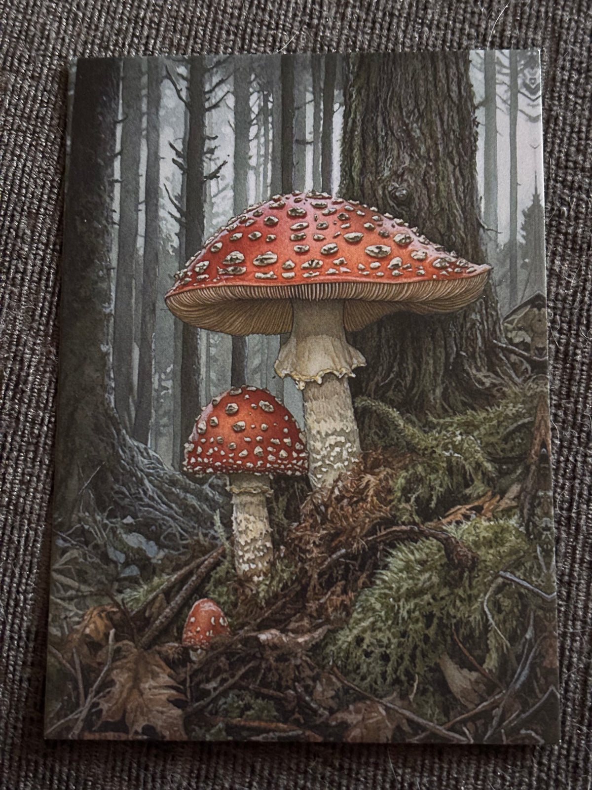Assorted Gothic A6 Postcard Set – Dark Fantasy Art Cards – Witchy Gothic Postcards (Set of 4)