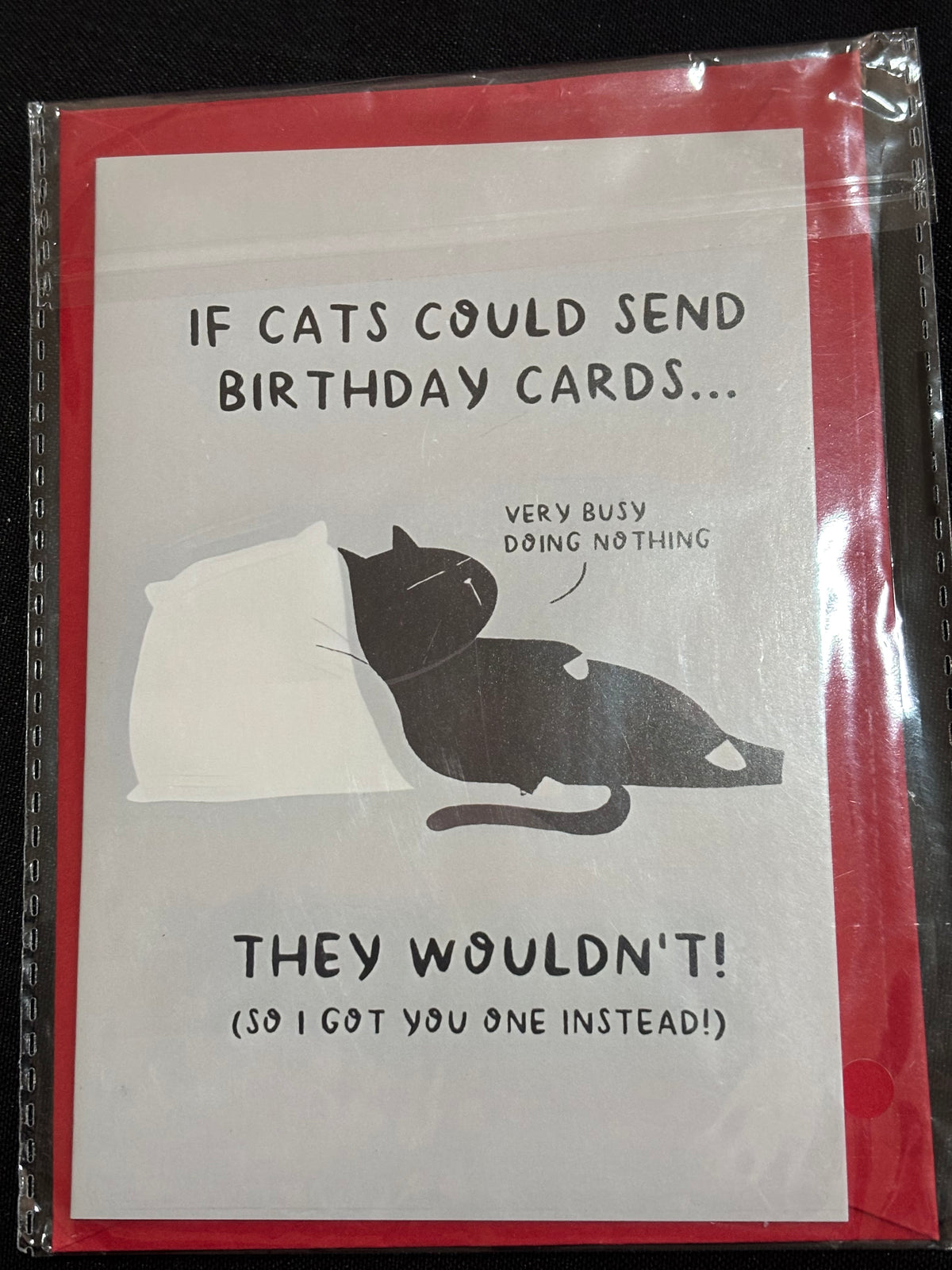 Title: If Cats Could Send Birthday Cards