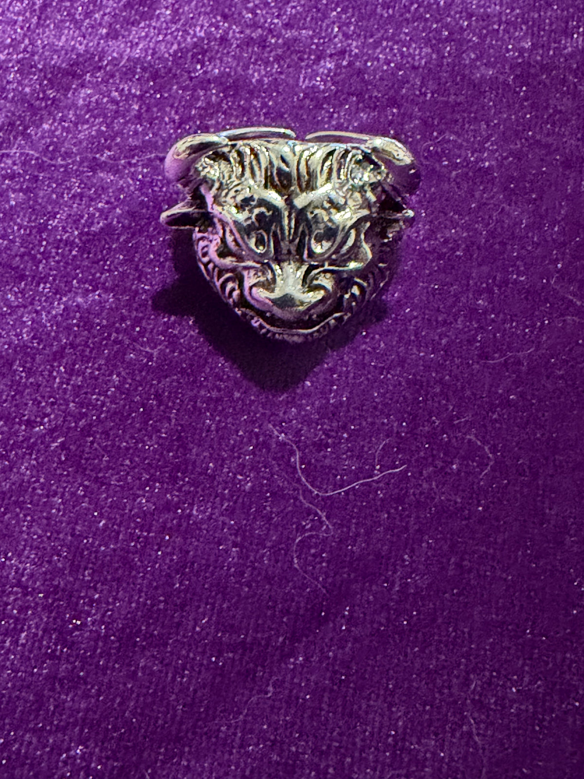 Beast of the Pit – Stainless Steel Horned Demon Ring