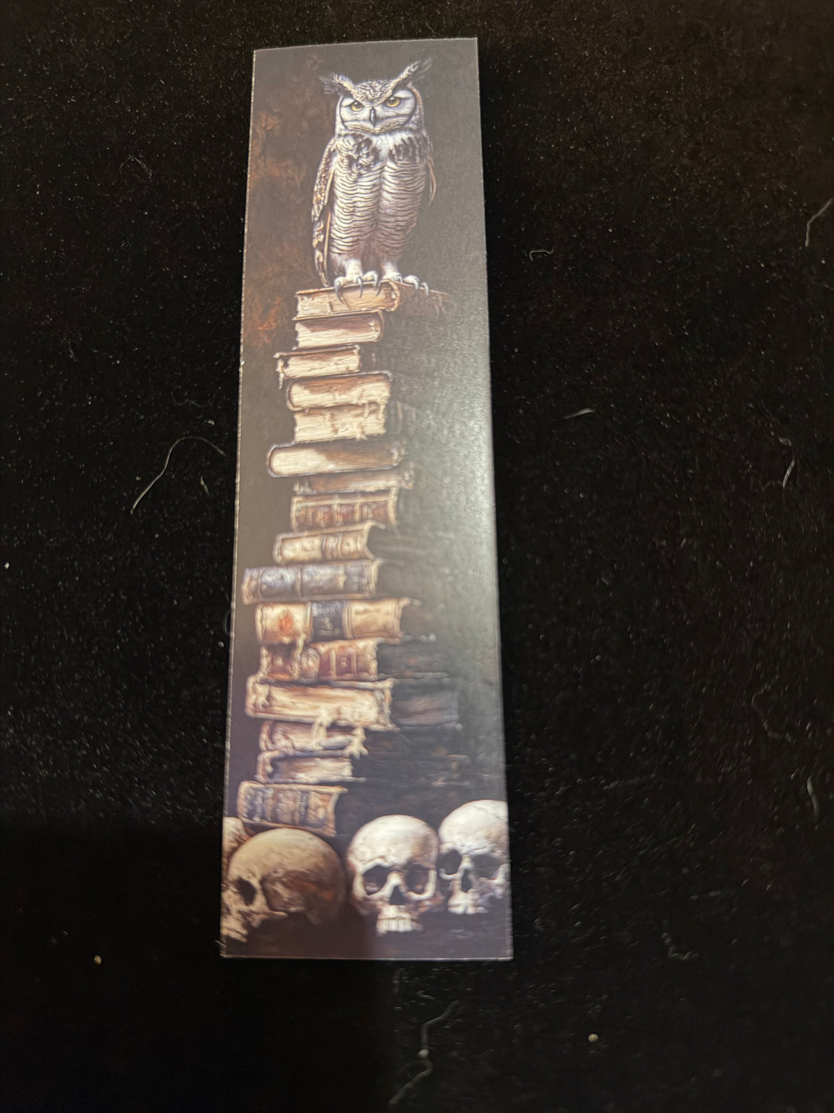 Midnight Owl Double-Sided Bookmark Set – Pack of 5