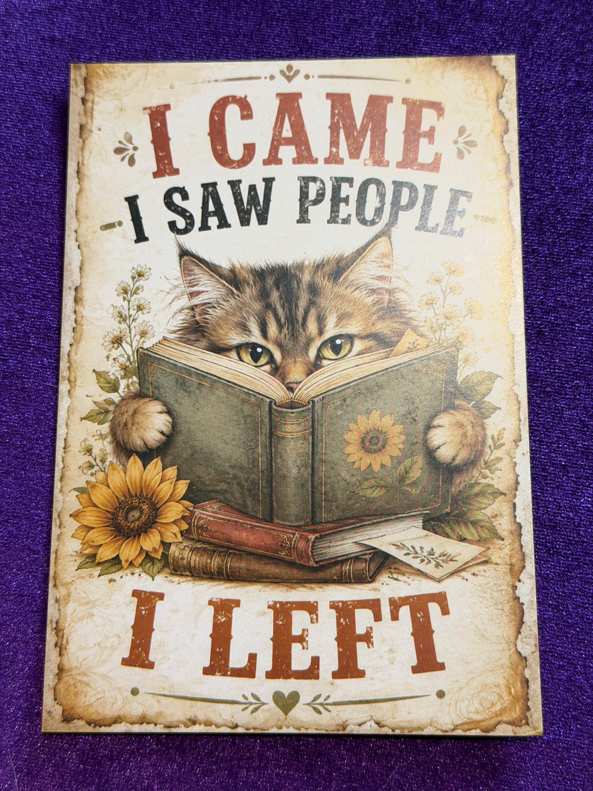 Blame The Cat Set 3