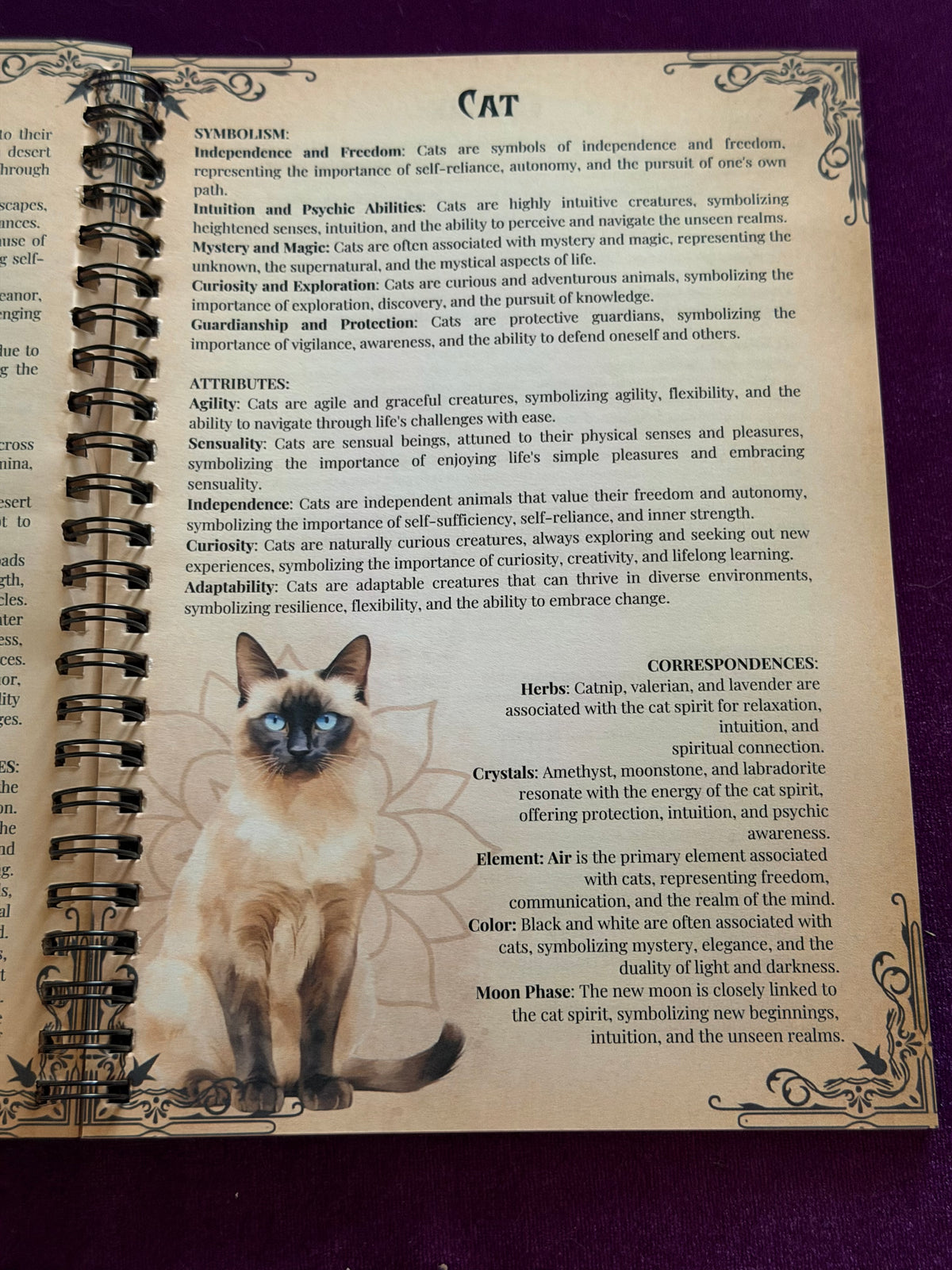 Spirit Animals – Symbolism, Attributes & Correspondences