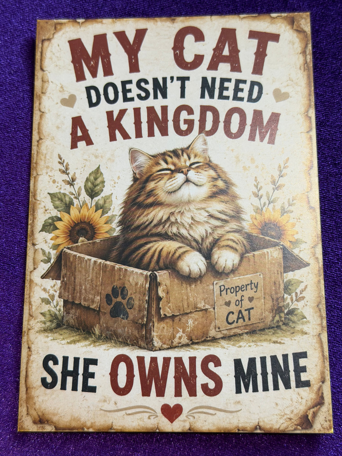 Blame The Cat Set 5