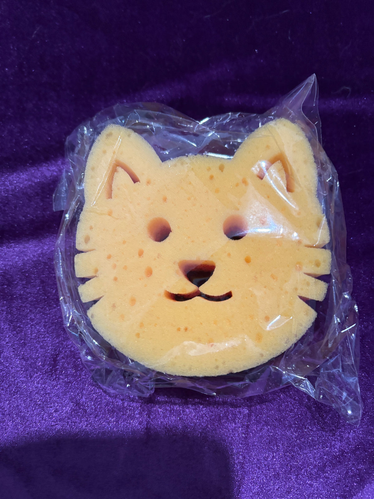 Heavy-Duty Cat Pot Scourer & Sponge