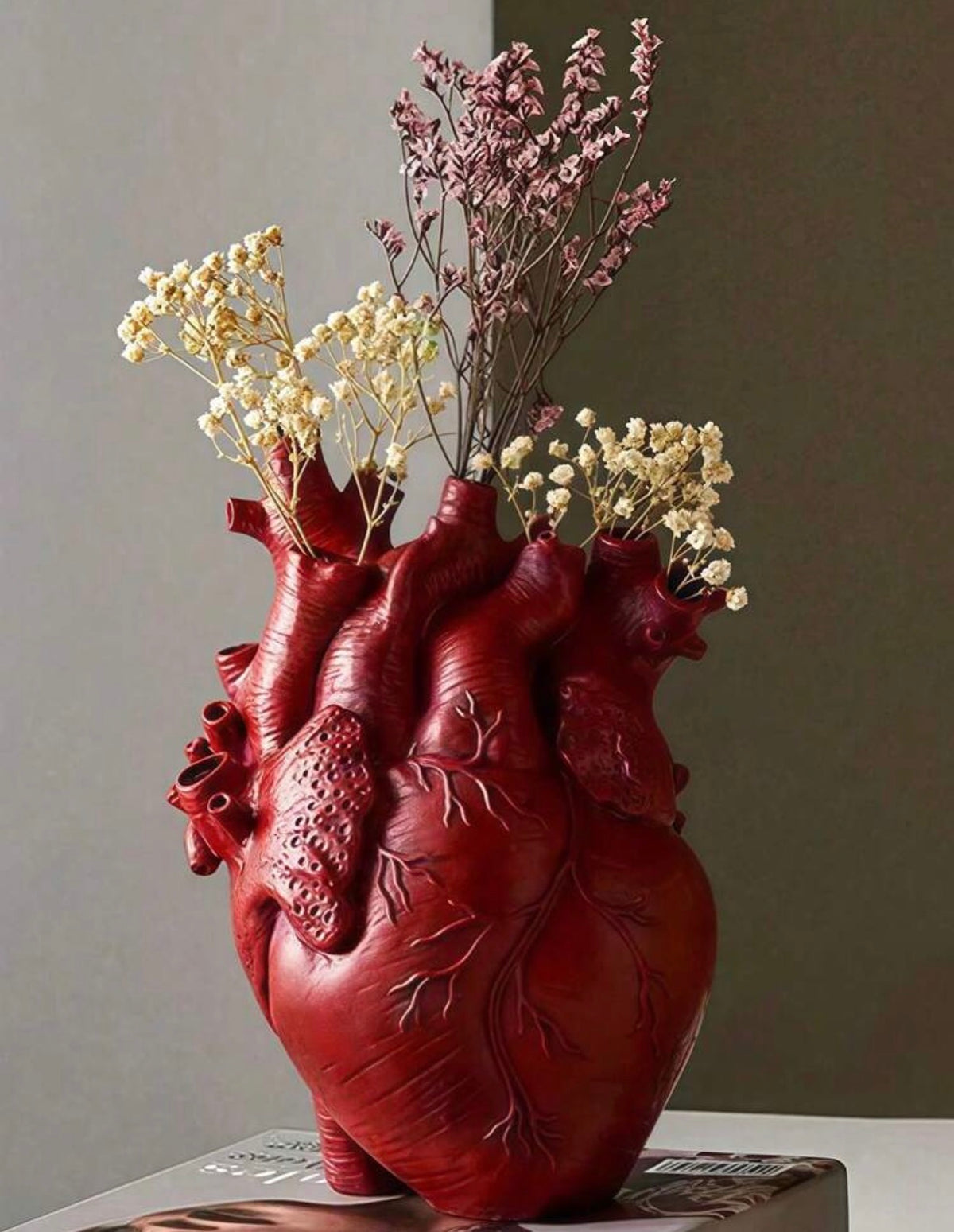 Red Anatomical Heart Vase