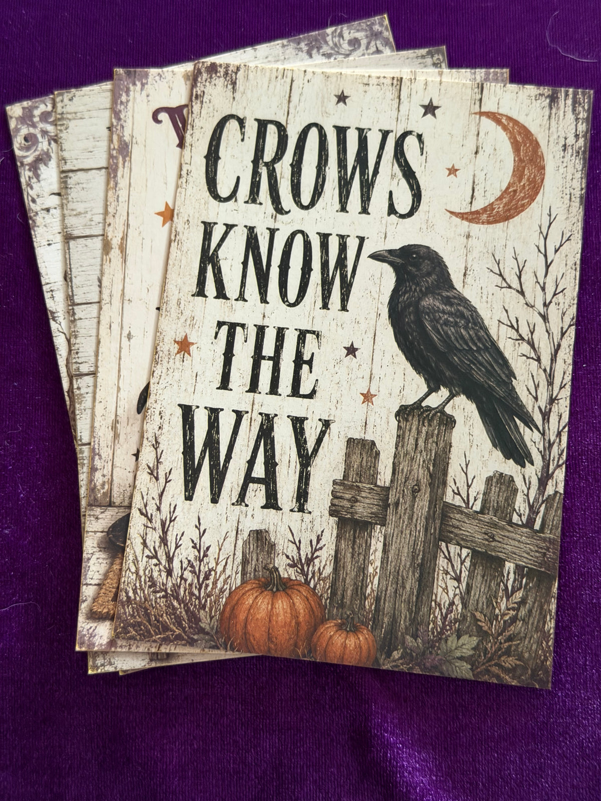 The Witches Sign Board Set 5