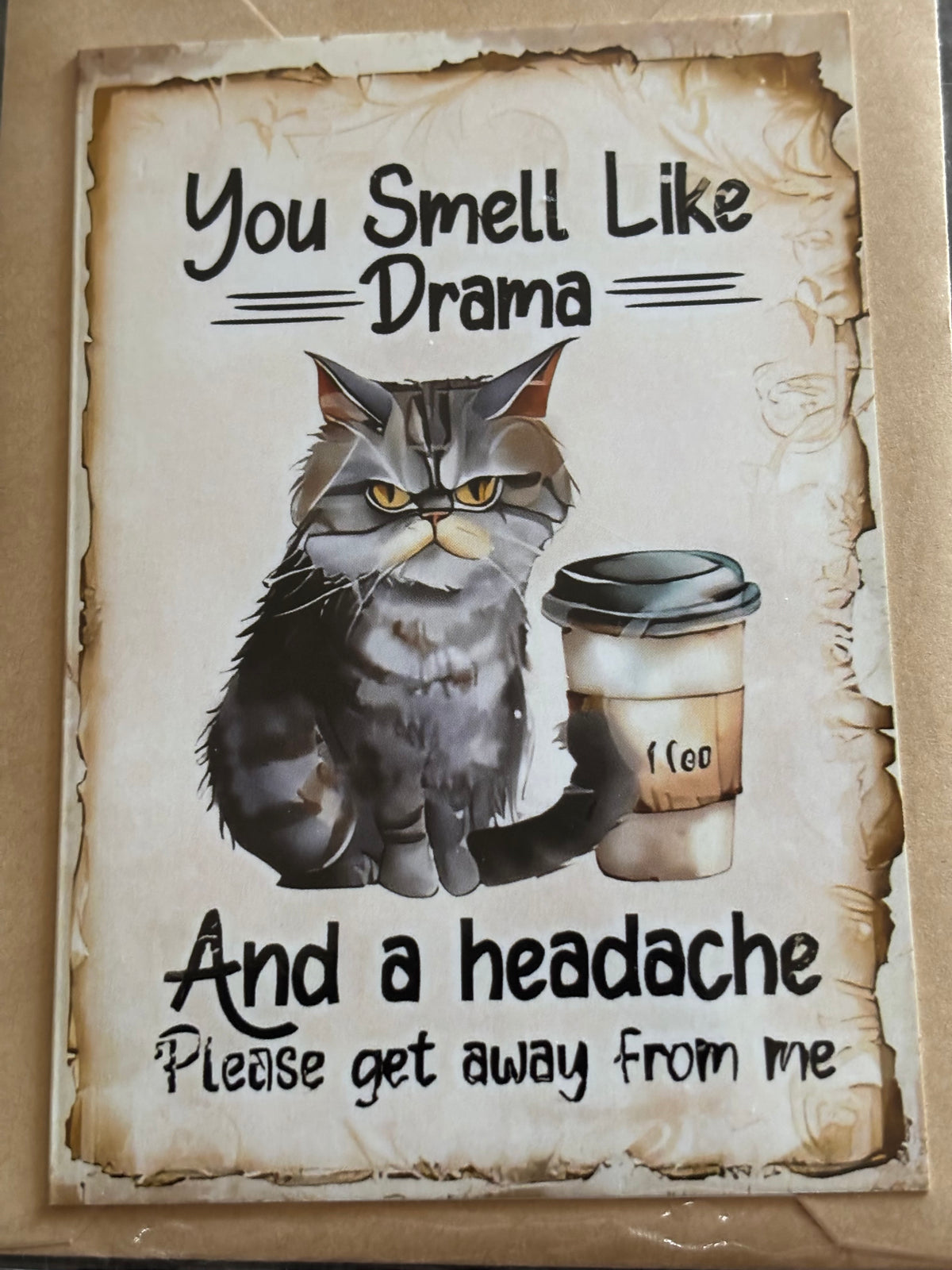 Snarky Cat Greeting Card