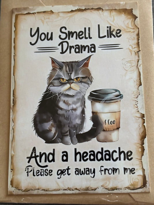 Snarky Cat Greeting Card