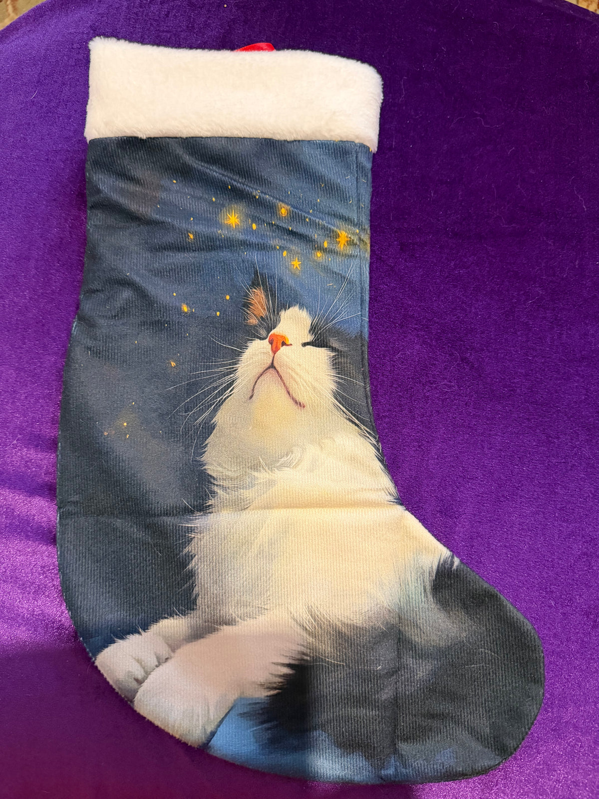 Stargazing Cat Velvet Yule Stocking