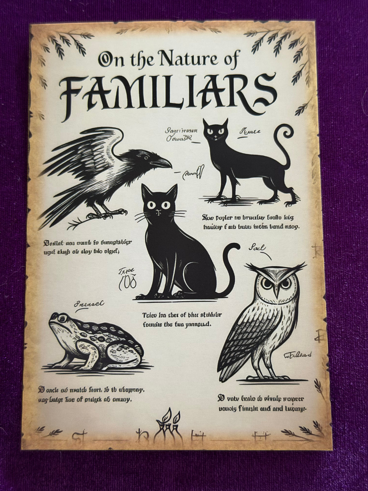 The Witches Grimoire Set 3