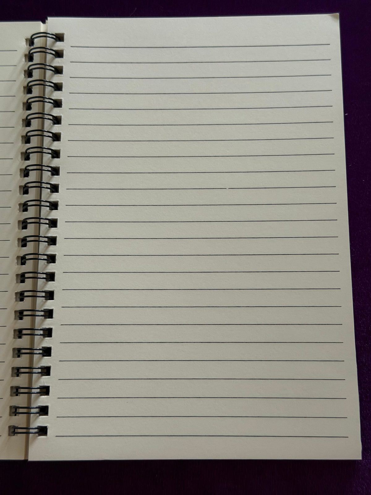 Celestial Moons – Sun, Moon & Stars Notebook