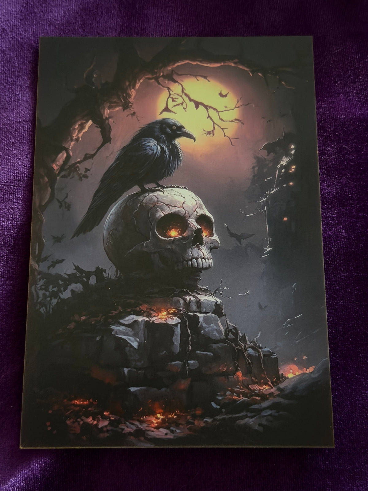 Beyond the Veil Set 5