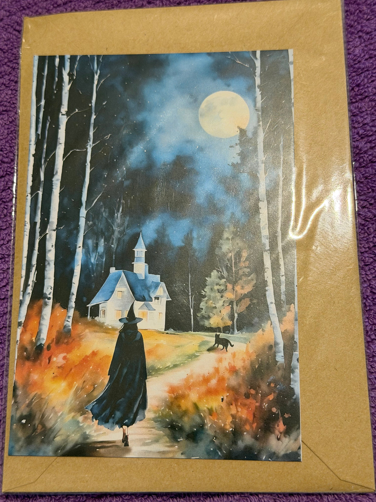 A Witches Life Collection Greeting Card