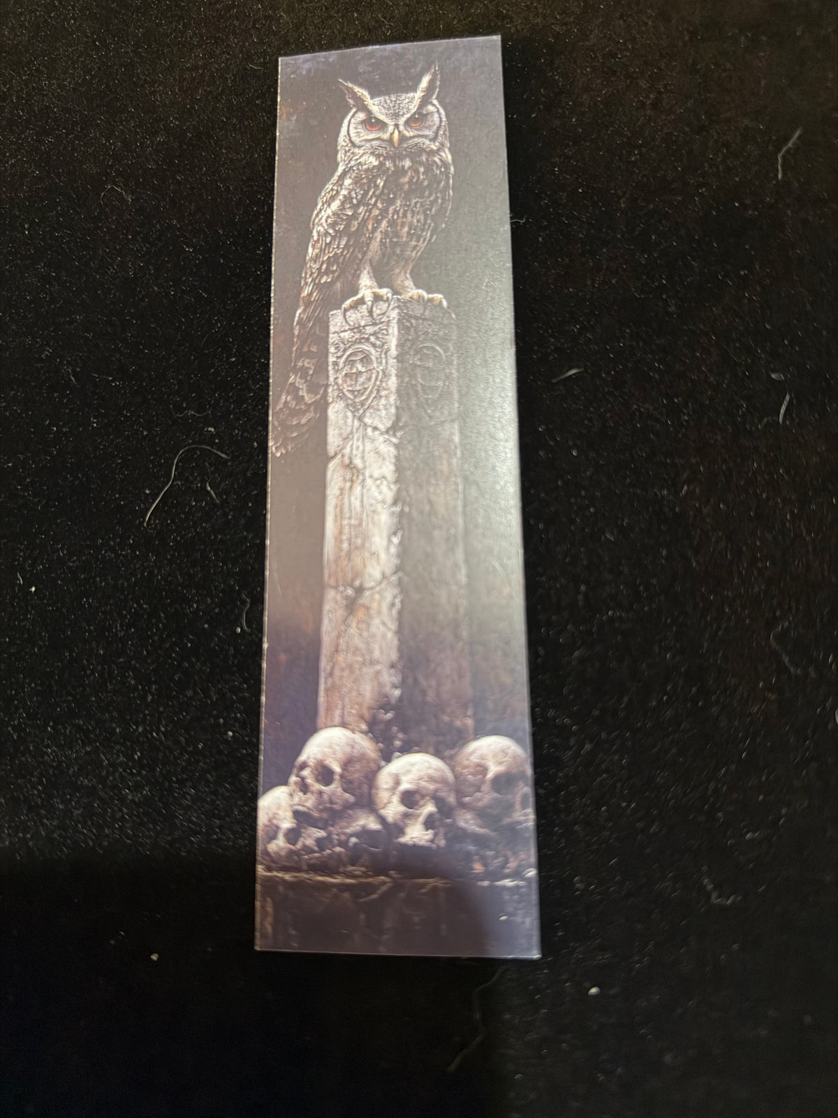 Midnight Owl Double-Sided Bookmark Set – Pack of 5