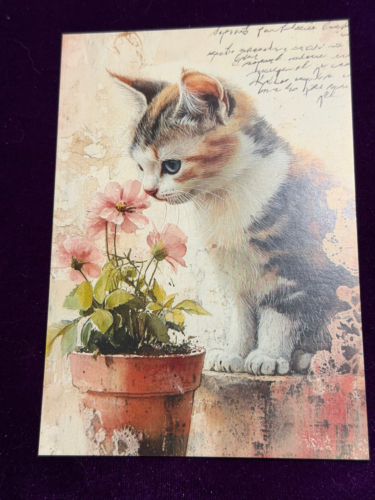 Vintage Whiskers Set 4