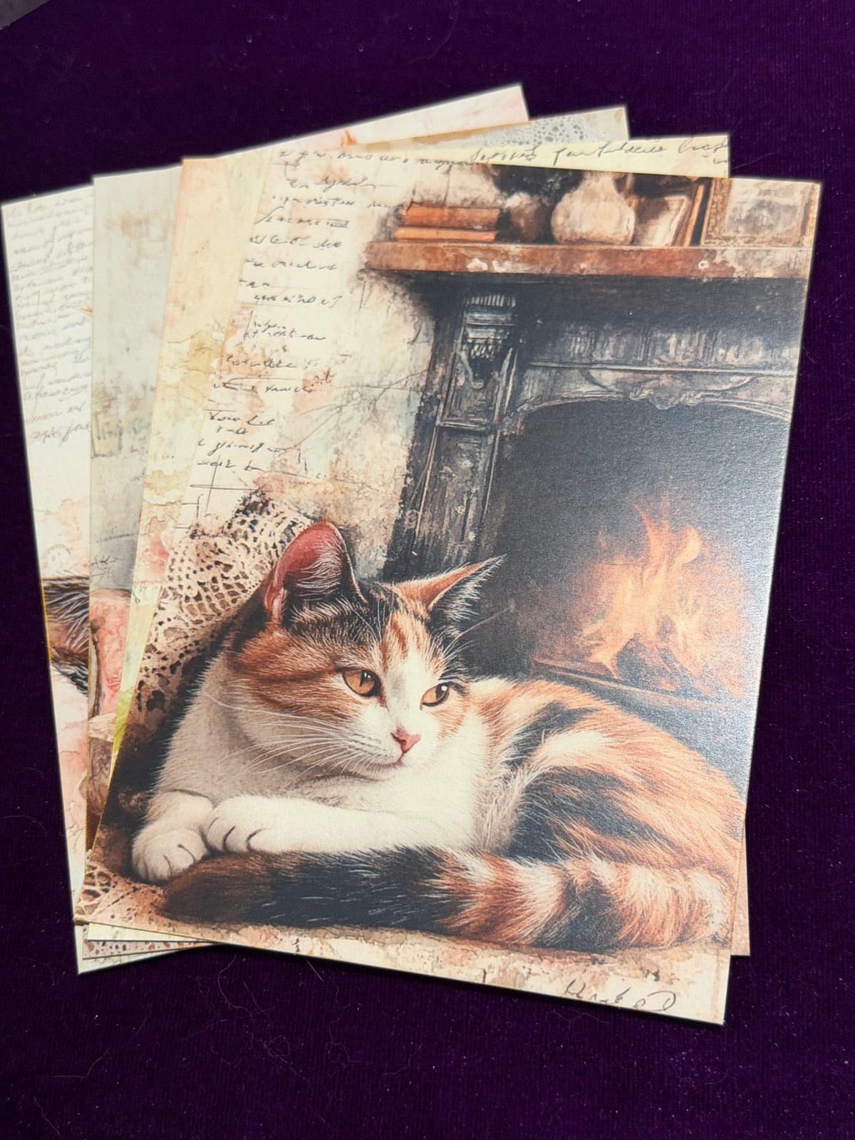 Vintage Whiskers Set 4