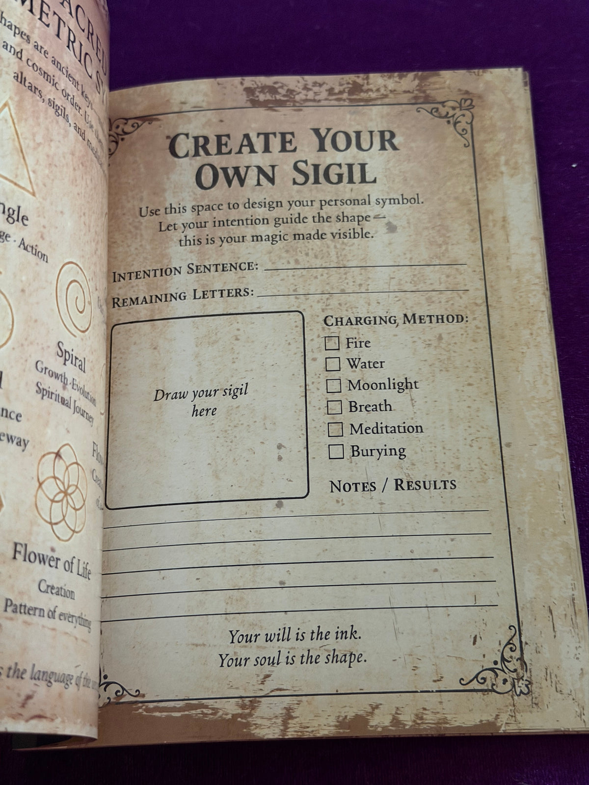 The Witch’s Grimoire