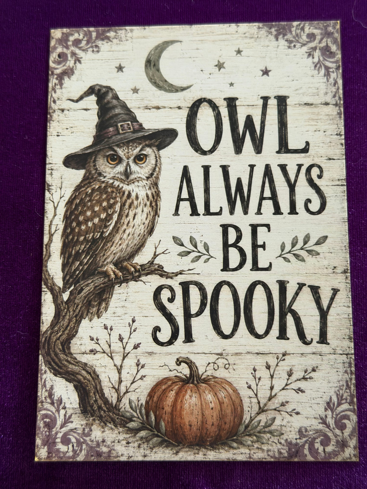 The Witches Sign Board Set 5