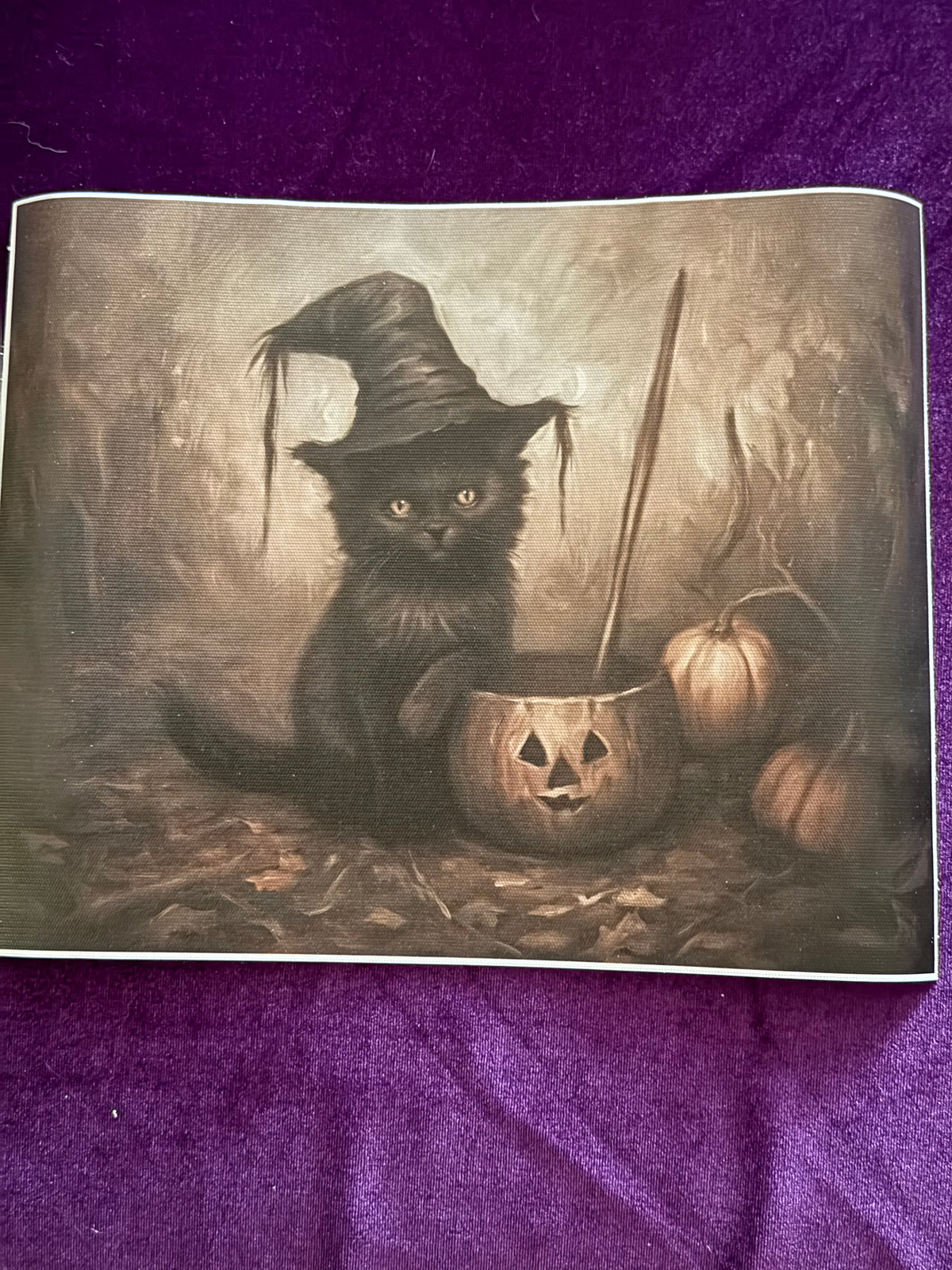 The Witch’s Familiar – 8 × 10 Canvas Print