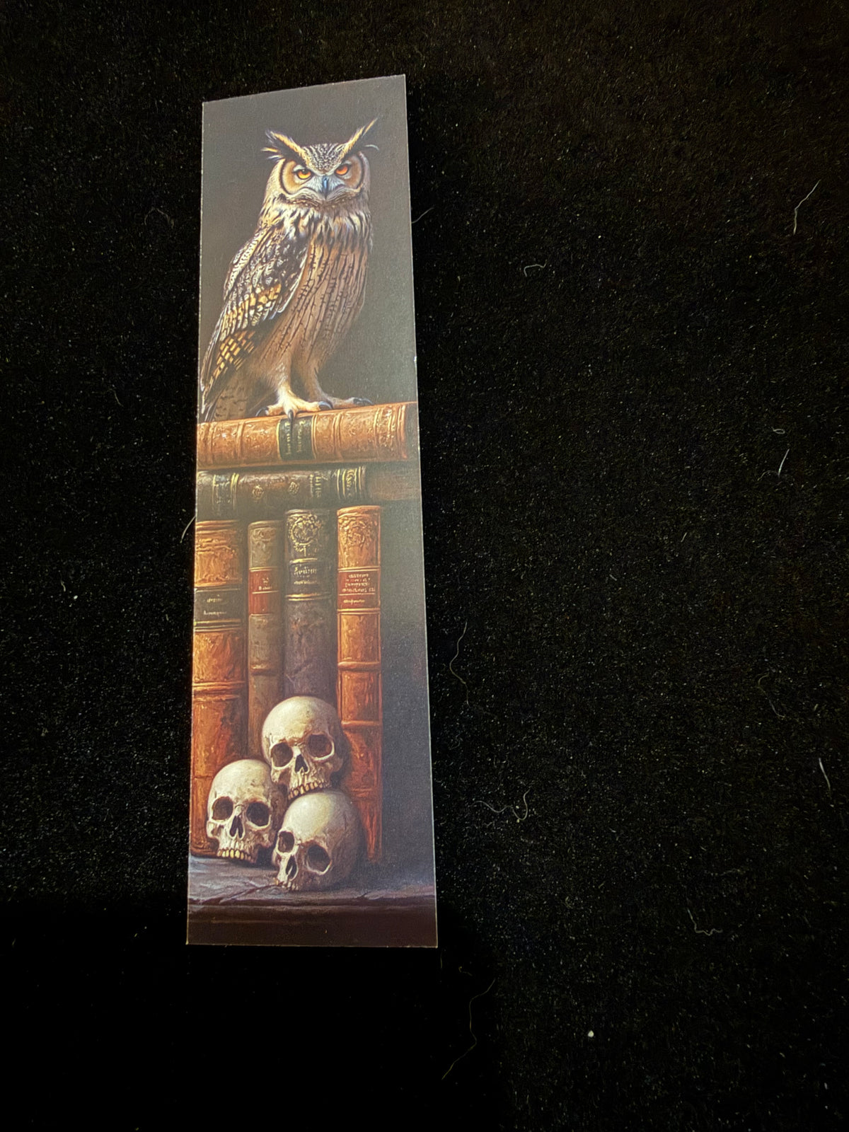 Midnight Owl Double-Sided Bookmark Set – Pack of 5