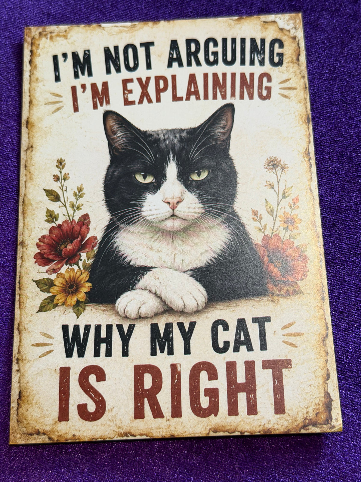 Blame The Cat Set 1