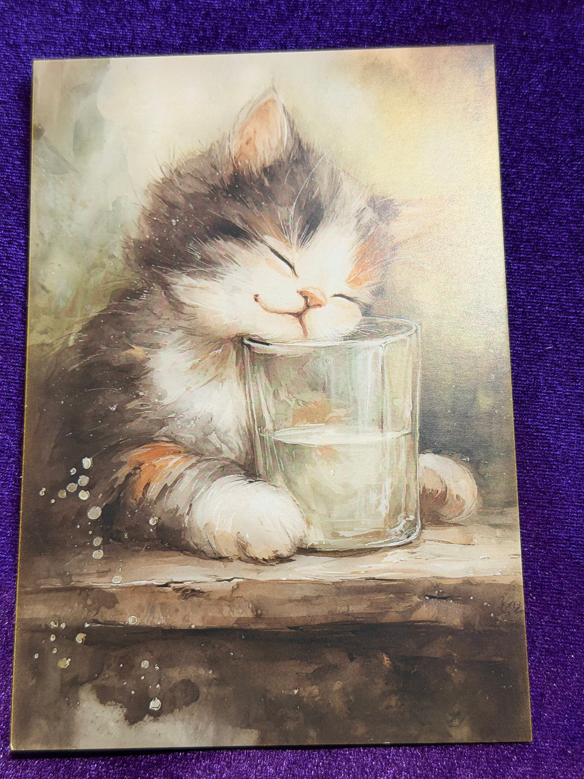 Whiskers In Watercolour Set 5