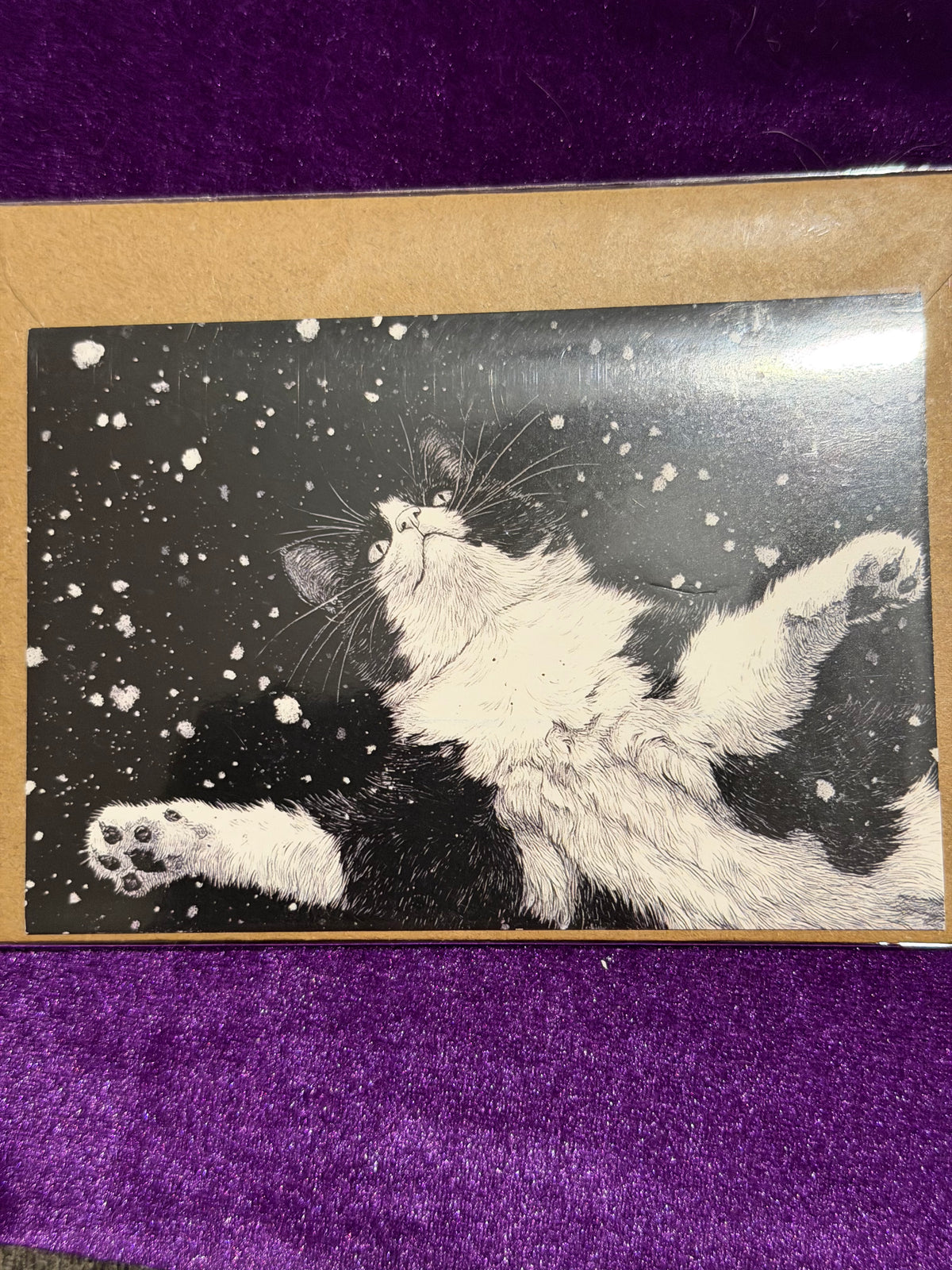 Catching Snowflakes 6